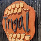 tigral-artilleria-172x172